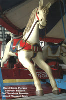 Carousel Horse Postcard