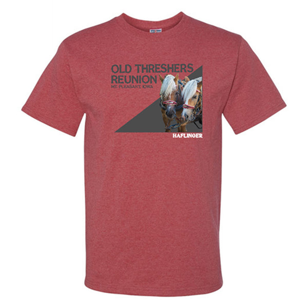 Haflinger Horse Shirt