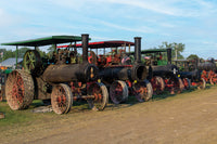 Steam Engine Row Postcard